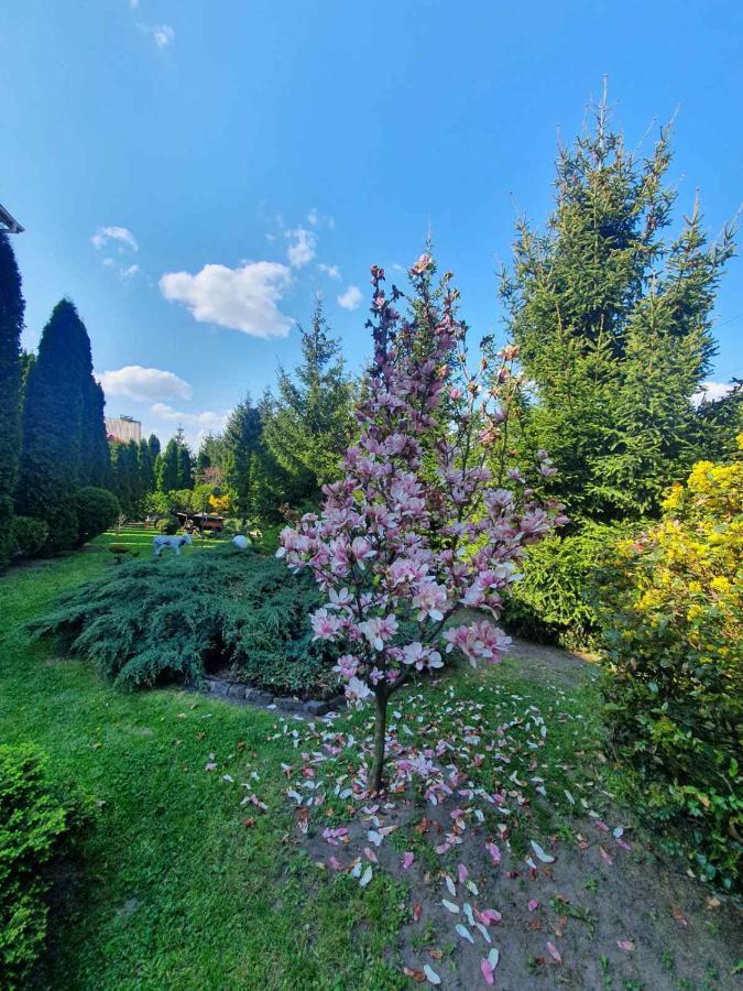 Дом Для Души С Бассейном Целиком Hotel Vinnitsja Eksteriør billede